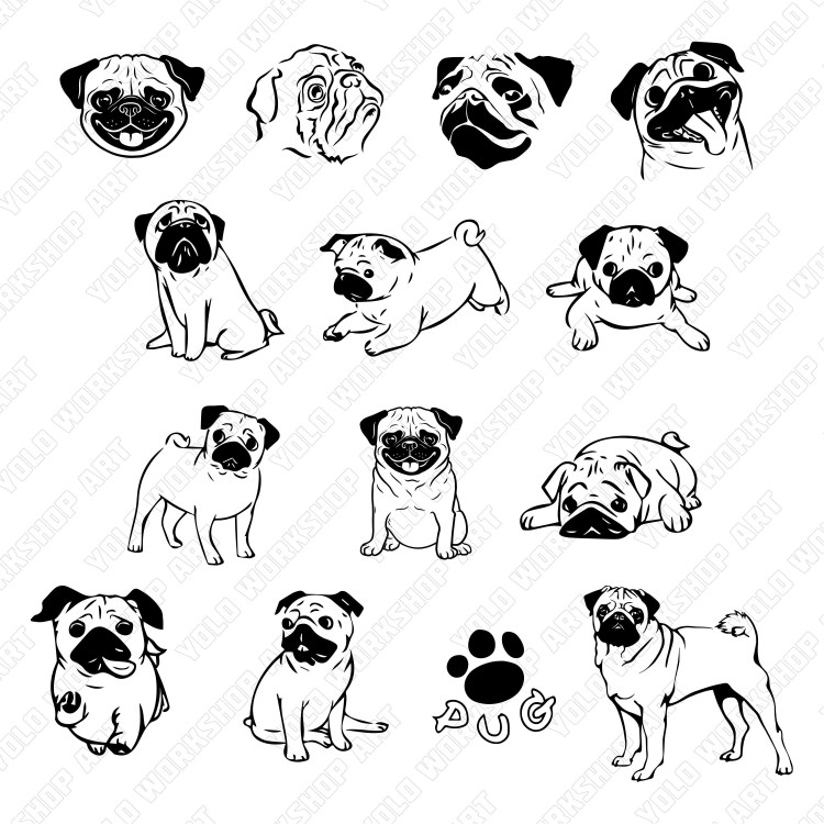 Автограф собаки