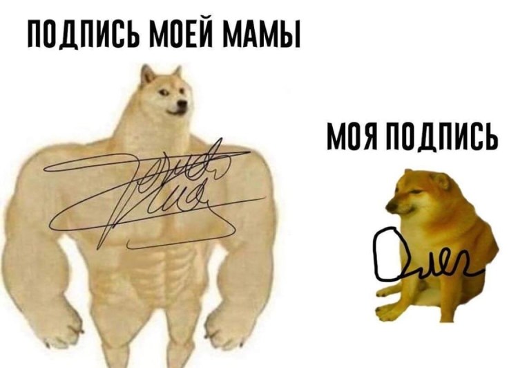 Мемы с подписями