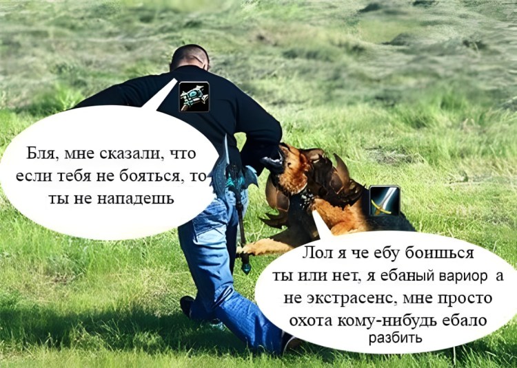 Прикольные объявления о собаках