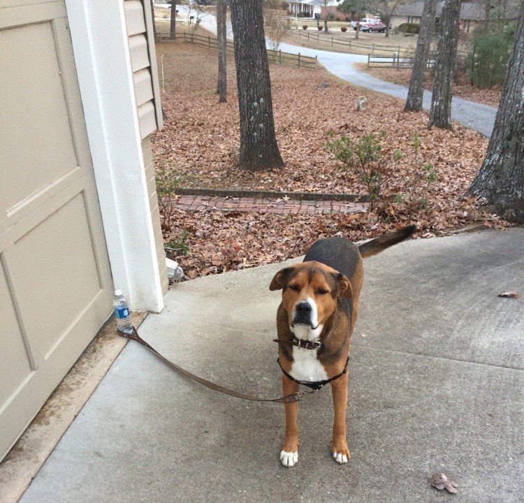 Приколы с надписями