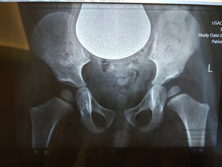 Рахит у котят