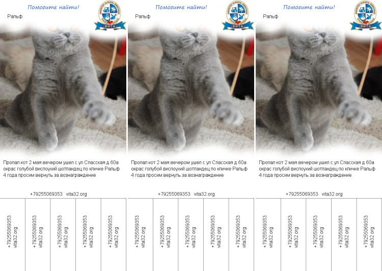 Врожденный вывих бедра кт