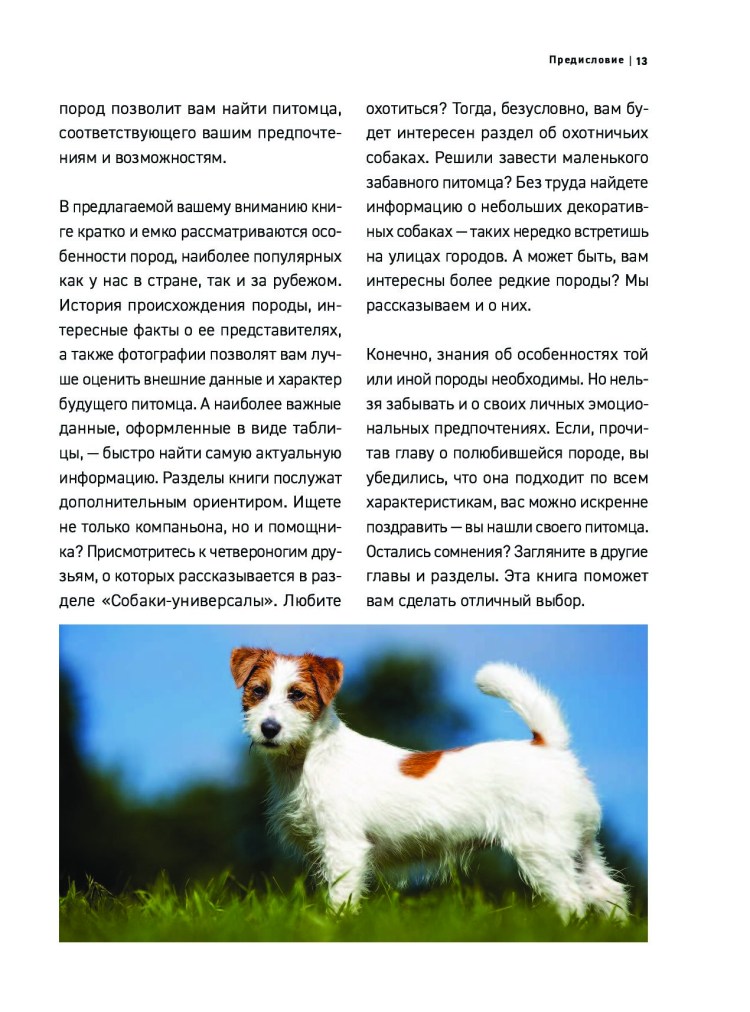 Дойч терьер