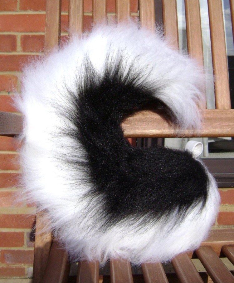 Хвост собаки