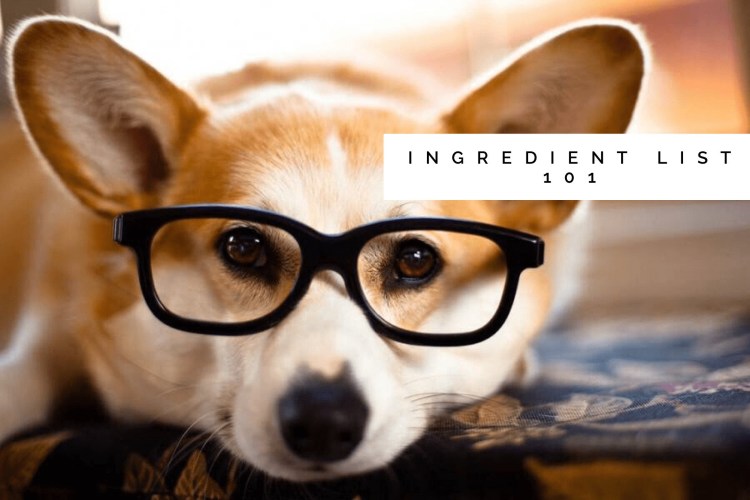 Собака в очках