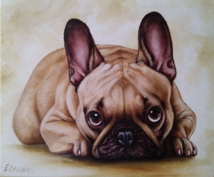 Французский бульдог картина
