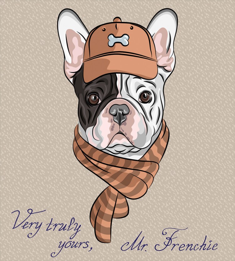 Рисунок французского бульдога в шапочке