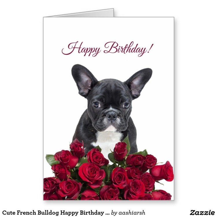 Французский бульдог Happy Birthday