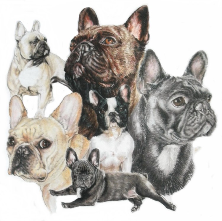 Картина по номерам французский бульдог