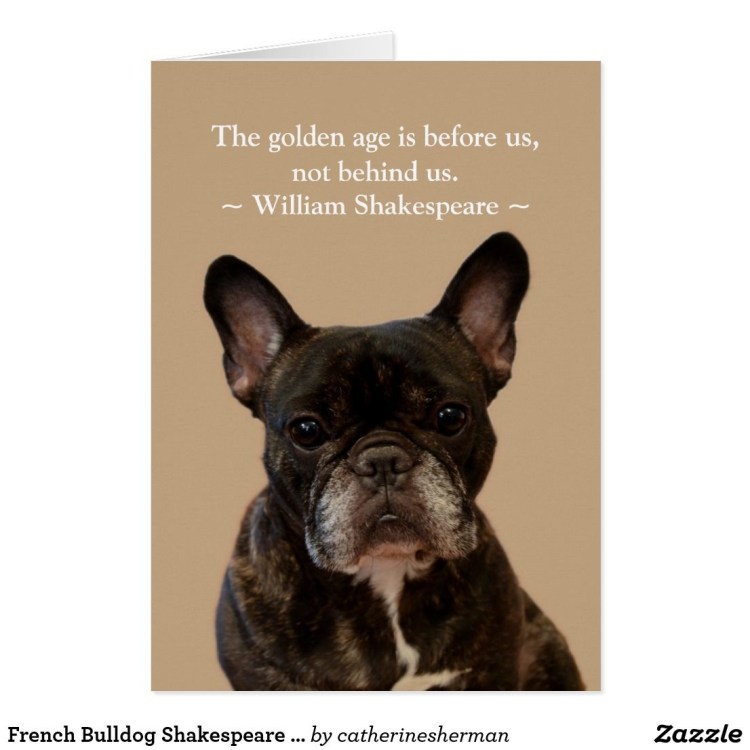 С днём рождения французский бульдог