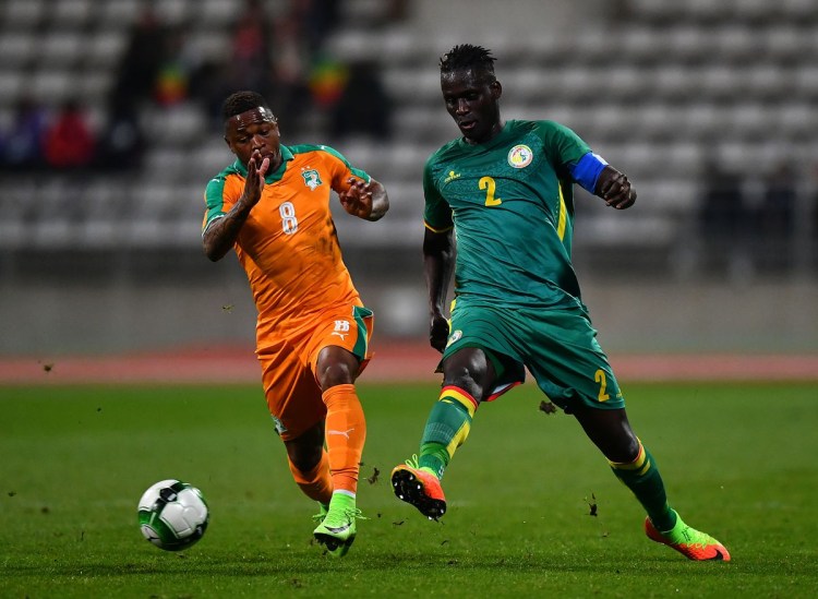 Бенгальская Браун табби