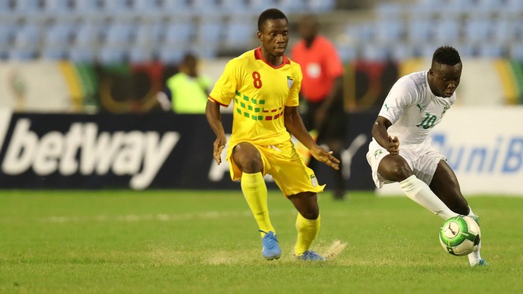 Сервал Африканская Дикая кошка