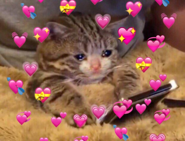 Кот плачет с сердечками