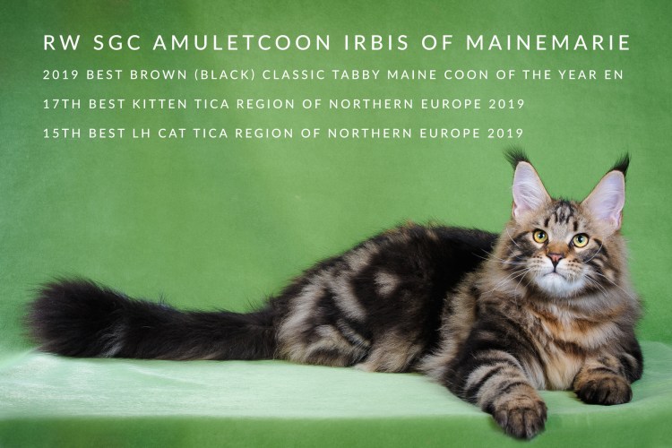 Ирбис Мейн кун