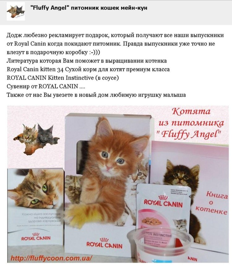 Витамины для котят Мейн кунов