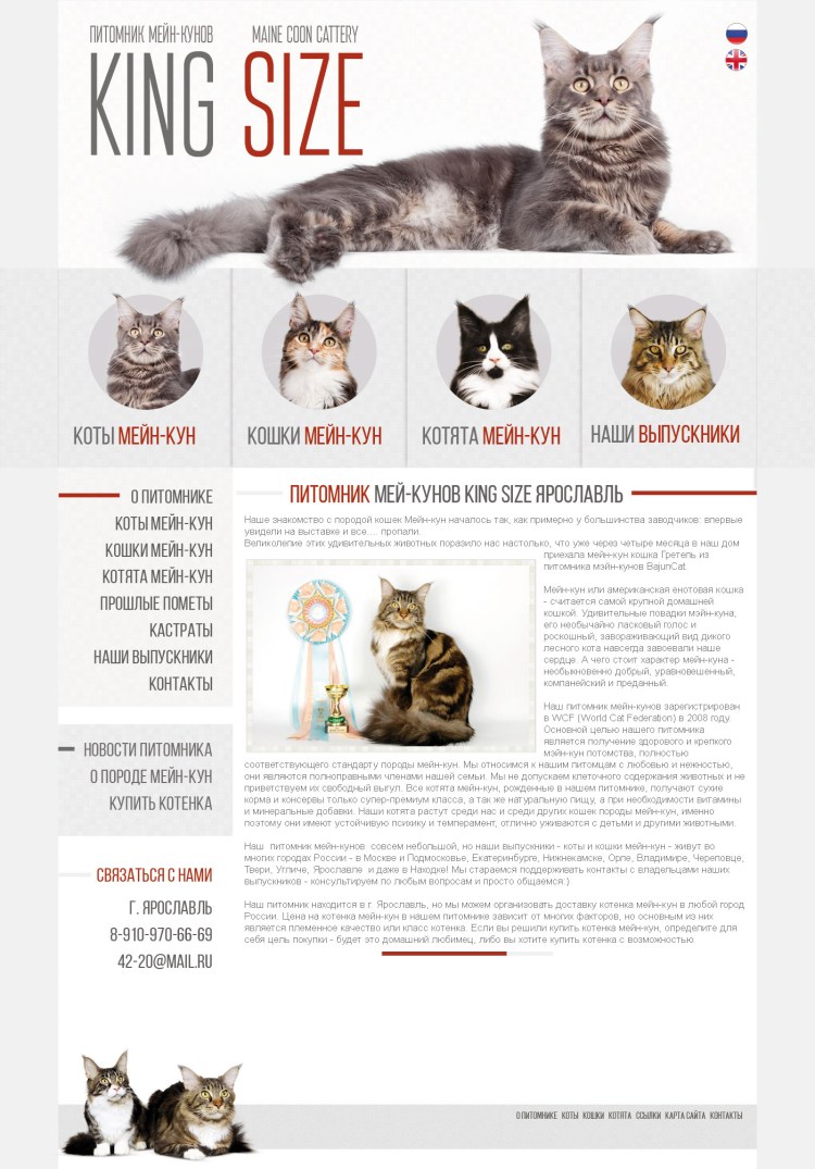 Беременный Мейн кун