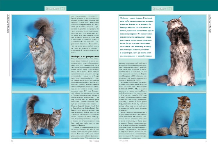 Стандарты веса Мейн куна