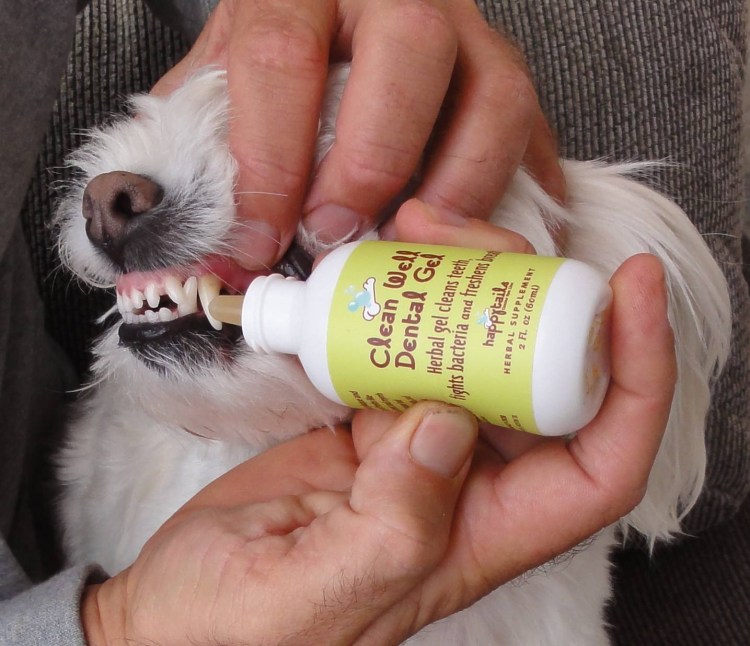 Эпулис ротовой полости у собак