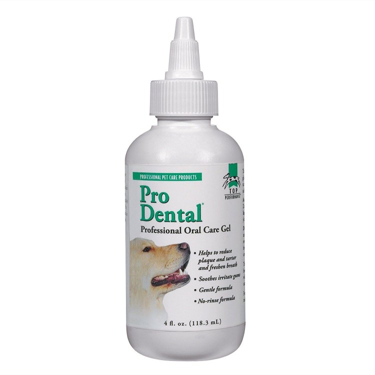 Ножницеобразный прикус у собак