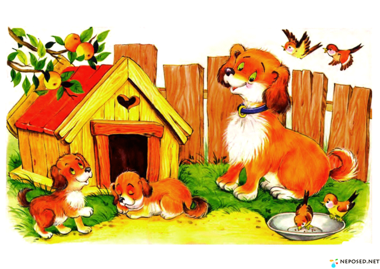 Собака со щенятами картина для детского сада