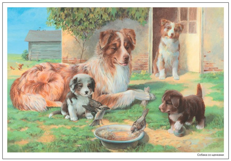 "Собака с щенятами" :с.г.Оболенский