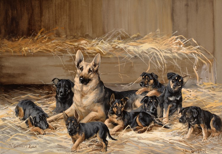 Собака со щенятами Веретенникова картина
