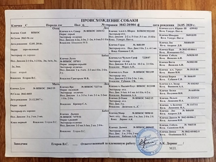 ЗСЛ шаман Лунева