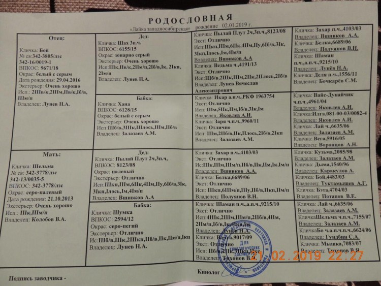 ЗСЛ шаман Лунева