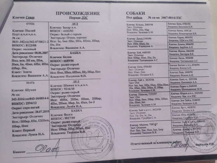 Клички собак ЗСЛ