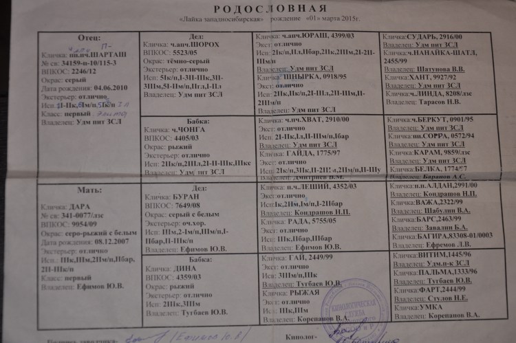 Клички для ЗСЛ