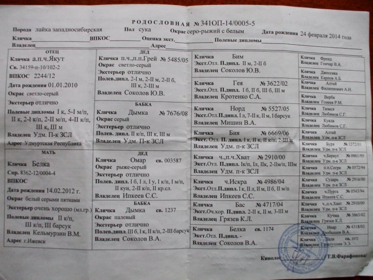 ЗСЛ штык Малкин