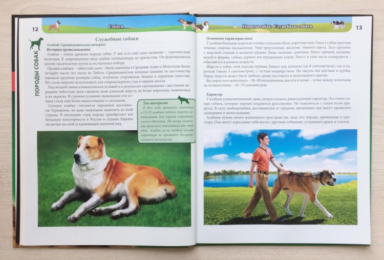 Энциклопедия о собаках