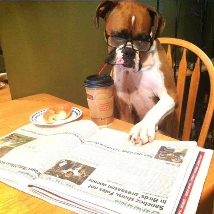 Собака ученый