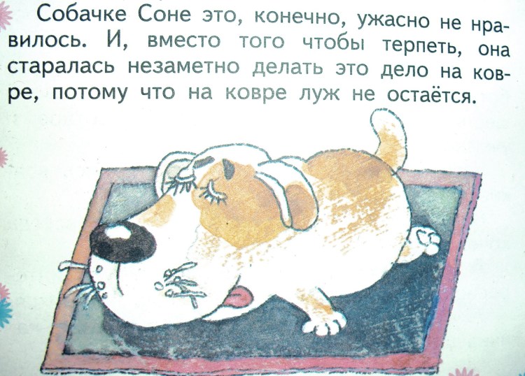 Сказка умная собачка Соня