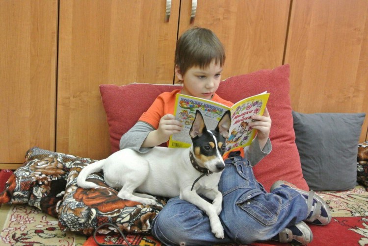 Дети чтение собаки
