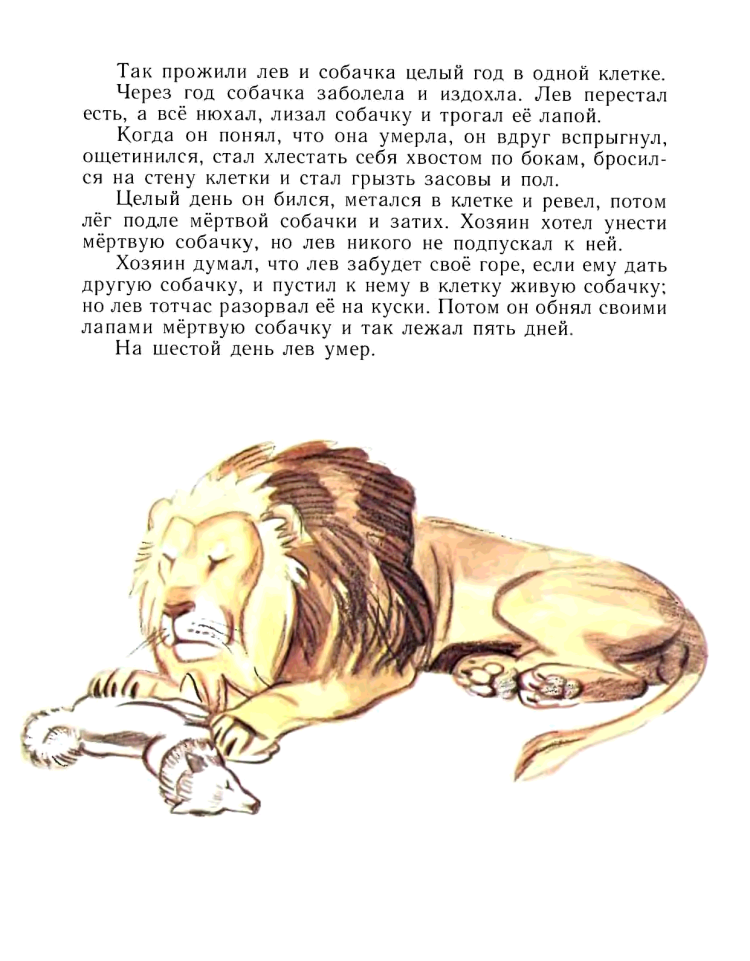 Лев Николаевич толстой рассказ Лев и собачка