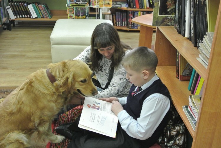 Щенок в библиотеке