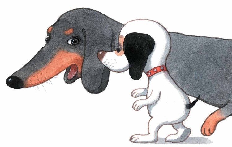 Умная собачка Соня Евгений Антоненков