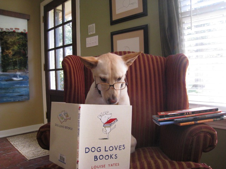 Собака читает книгу