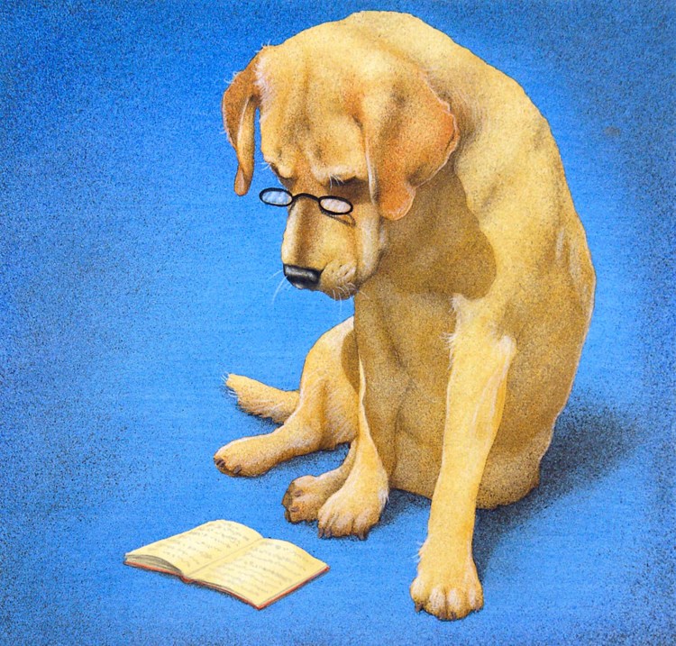 Собака с книгой рисунок