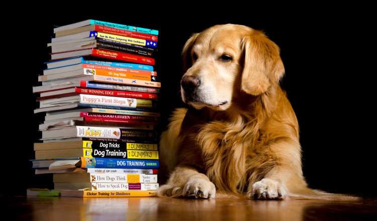 Книги про собак