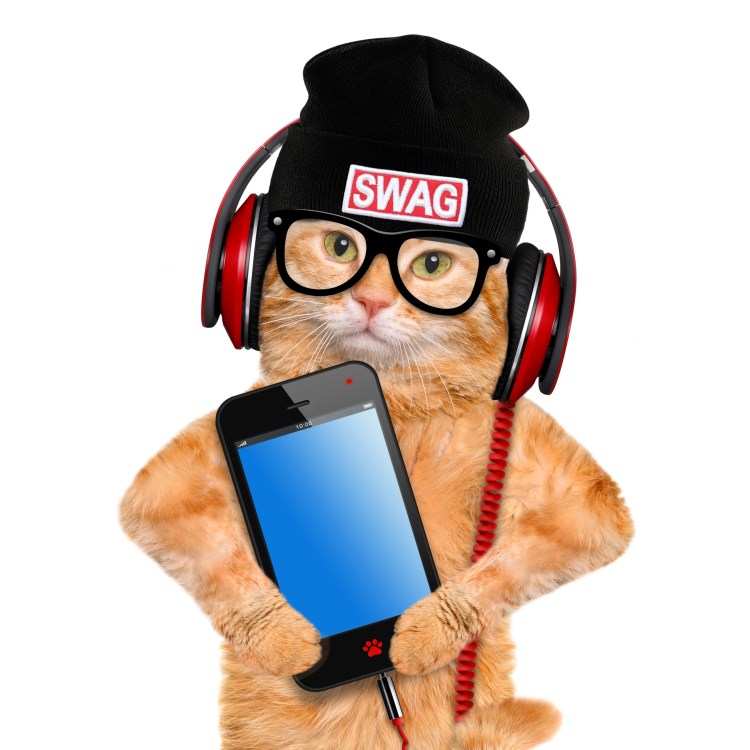 Котенок с наушниками