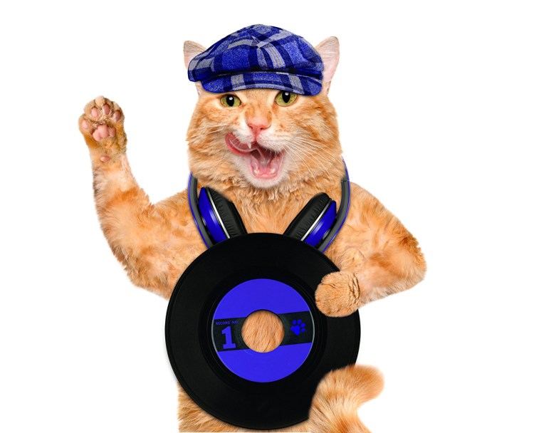 Котенок слушает музыку