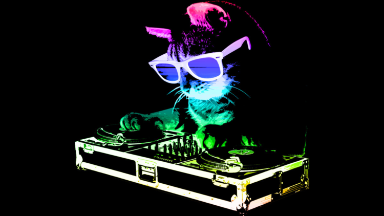 Кот в наушниках