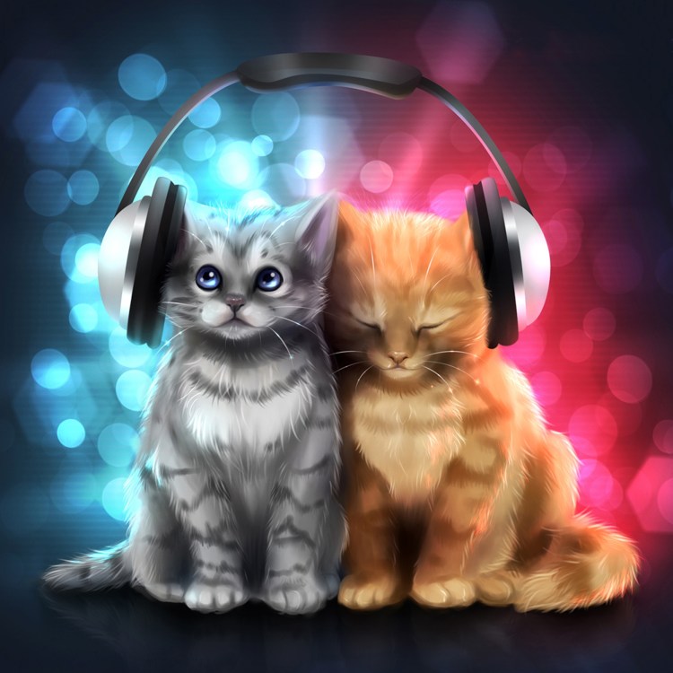 Кот в наушниках орет