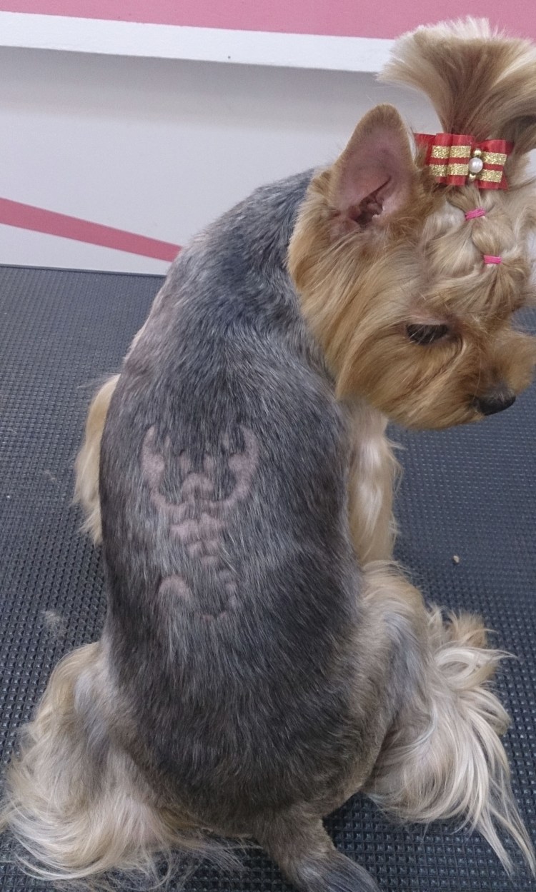 Ешкорский терьер