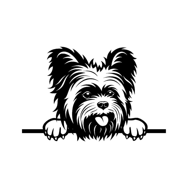 Бивер-Йоркширский терьер