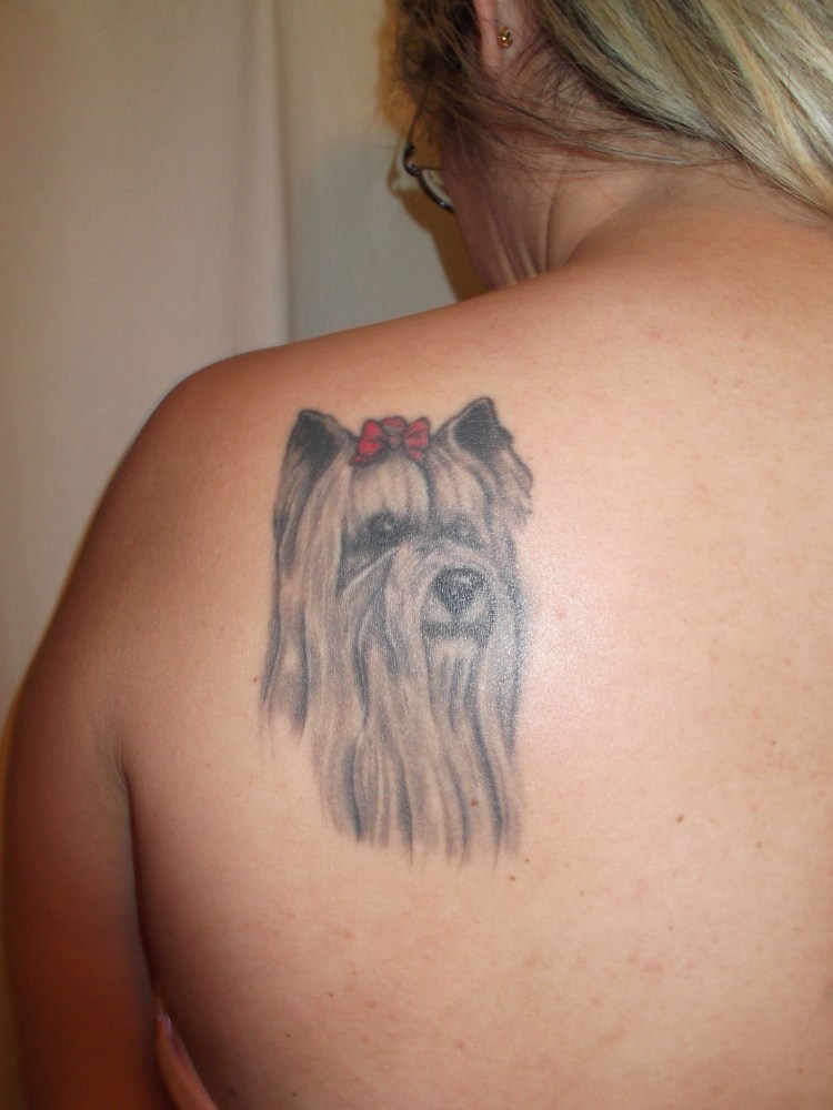 Тату собака Йорк