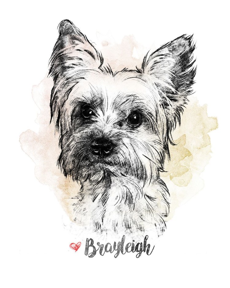 Мини тату Йорк