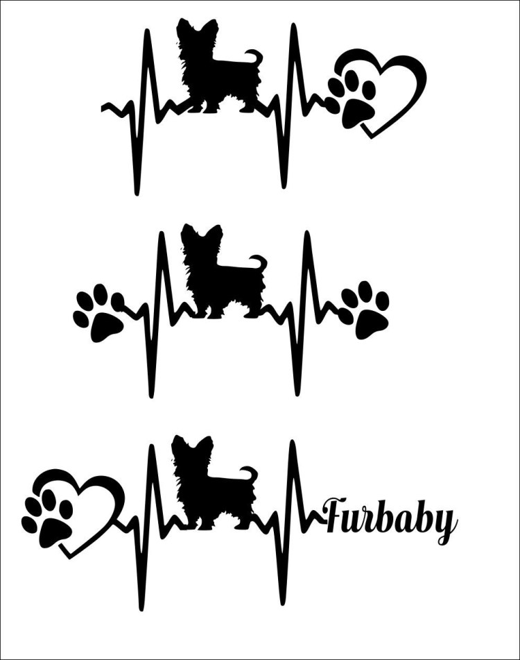 Йоркширский терьер в векторной графике